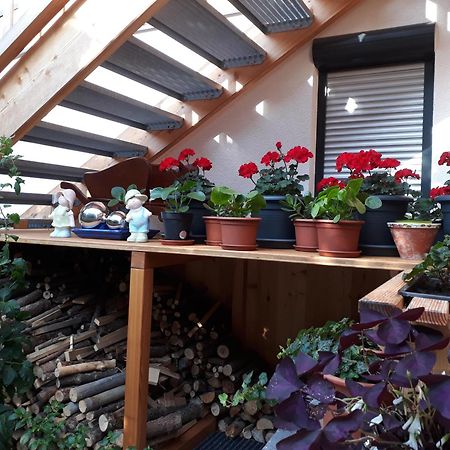 Apartchalet Sisi- Including Saalfelden Leogang Card Εξωτερικό φωτογραφία