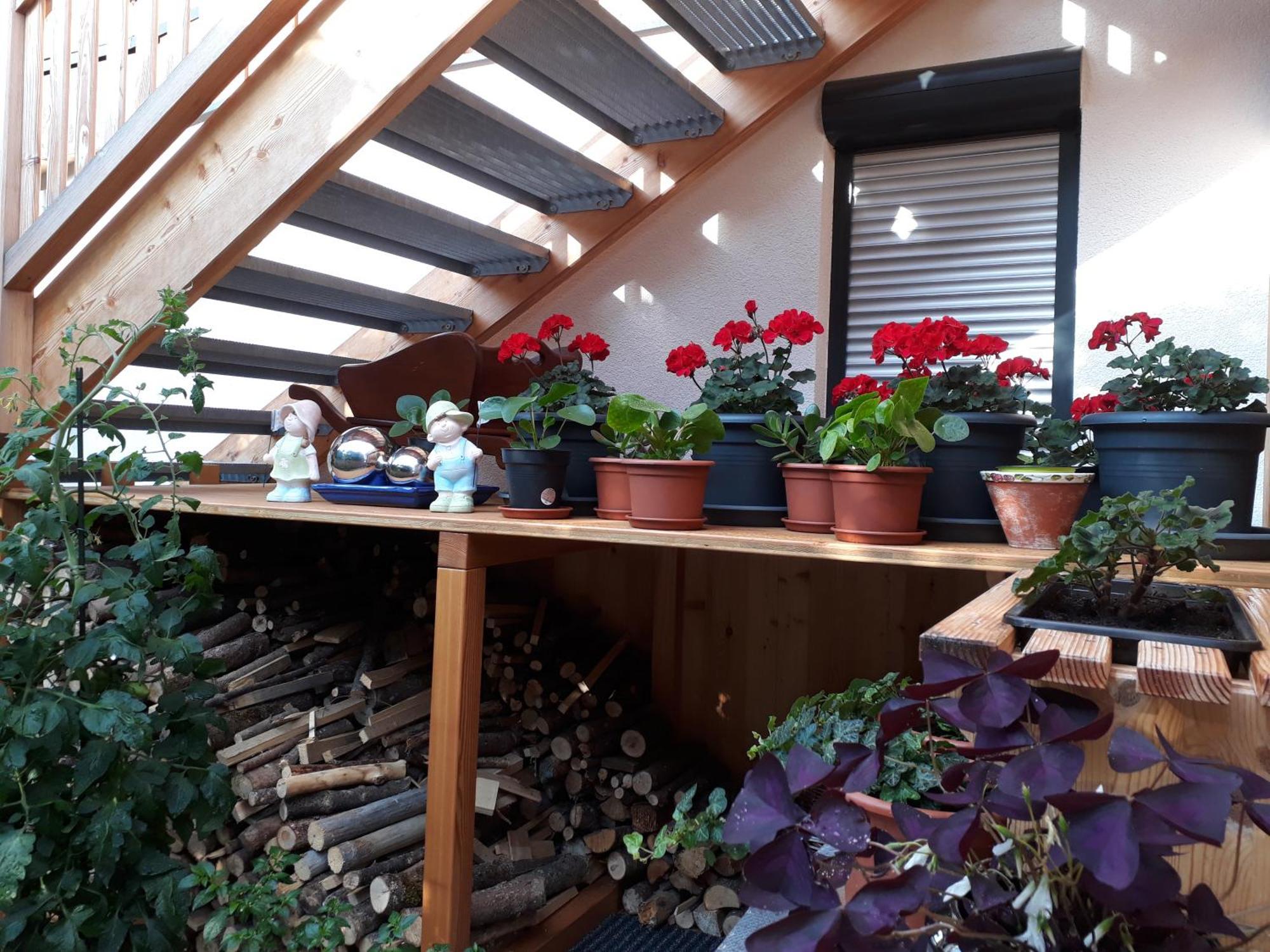 Apartchalet Sisi- Including Saalfelden Leogang Card Εξωτερικό φωτογραφία